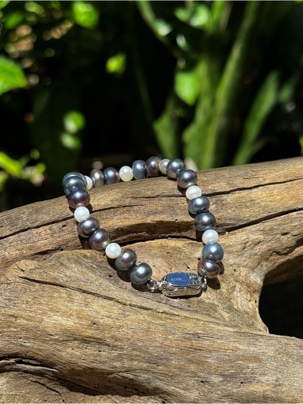 Freshwater Pearl Bracelet in Black and White with Sterling Silver Clasp